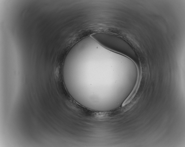 X0000116830088200912181103