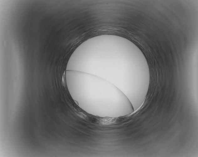 X0000116830094200912181103