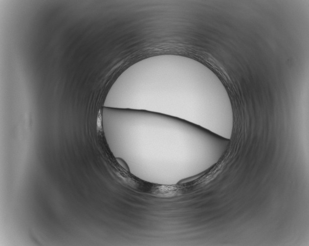 X0000116830095200912181103