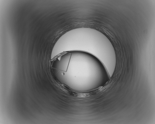 X0000116830096200912181103