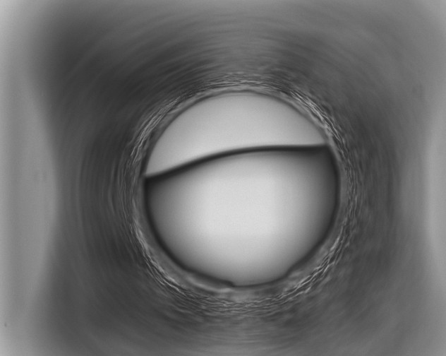 X0000116830097200912181102