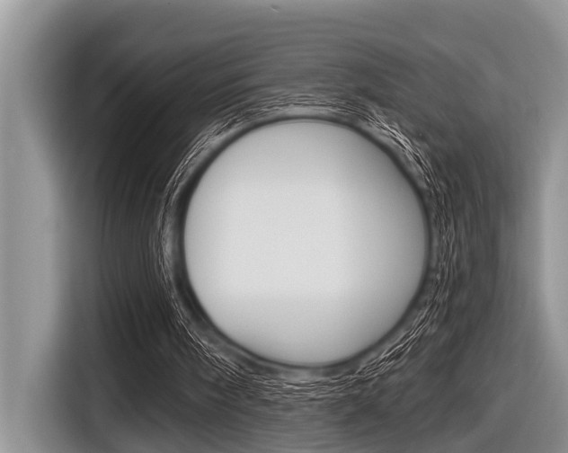 X0000116830098200912181102