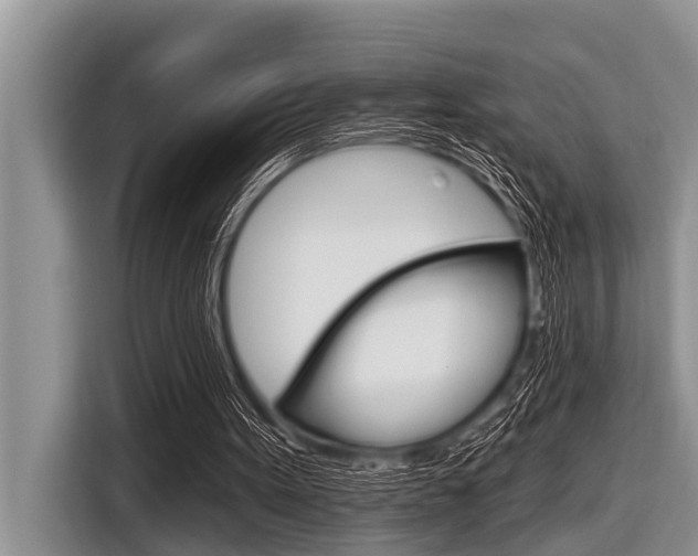 X0000116830099200912181102
