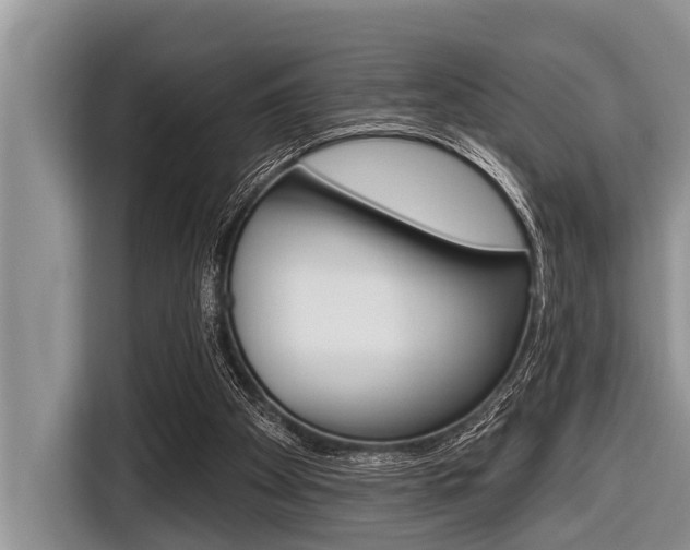 X0000116830105200912181102