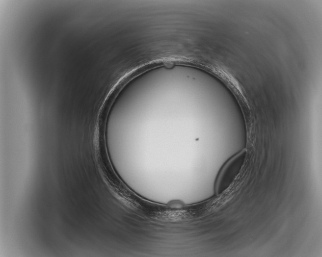 X0000116830108200912181102