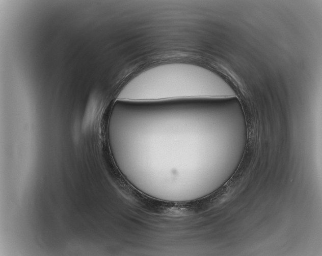 X0000116830119200912181102