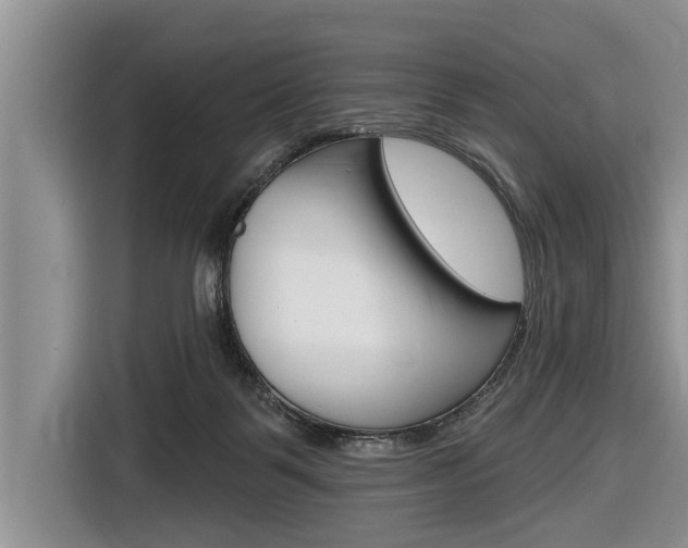 X0000116830123200912181102