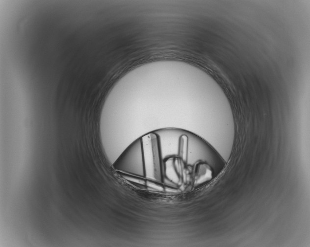 X0000116830124200912181102