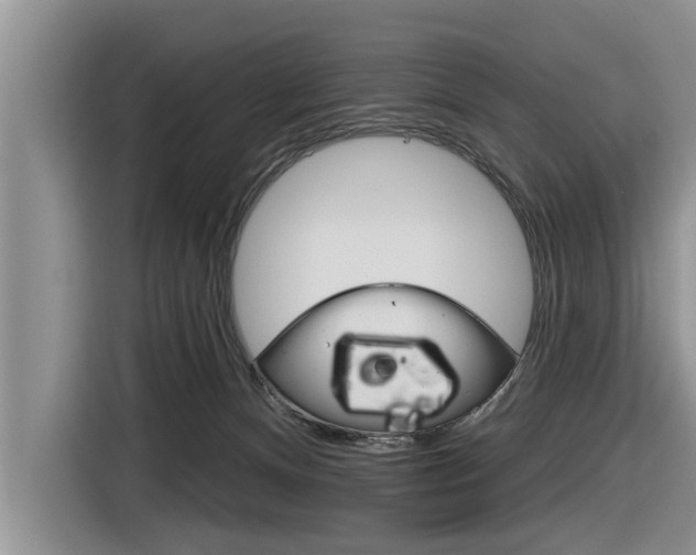 X0000116830128200912181102