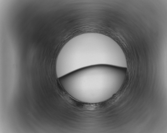 X0000116830131200912181102
