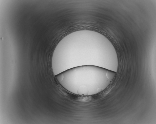 X0000116830135200912181102