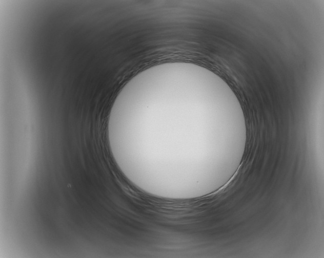 X0000116830136200912181102