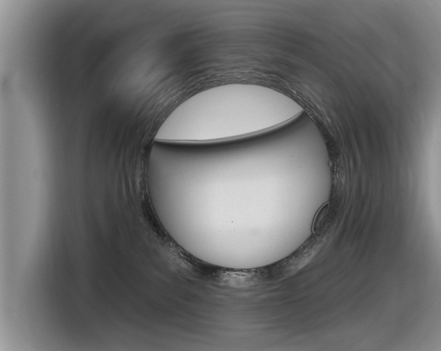 X0000116830139200912181102
