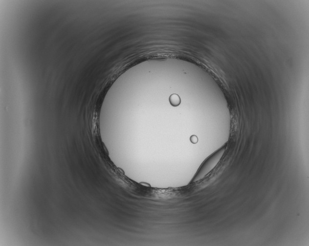 X0000116830141200912181102