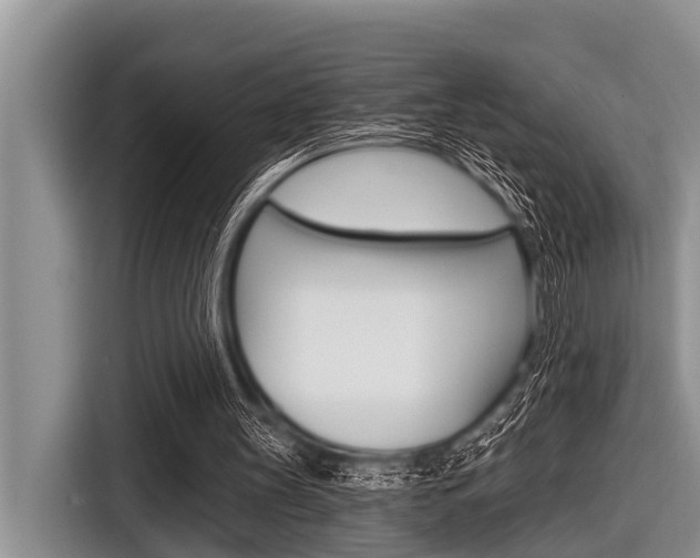 X0000116830147200912181101