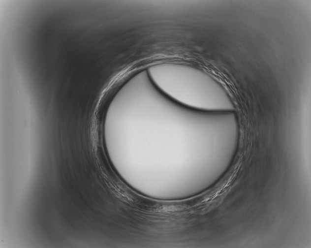 X0000116830149200912181101