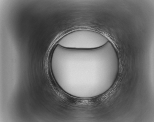 X0000116830151200912181101