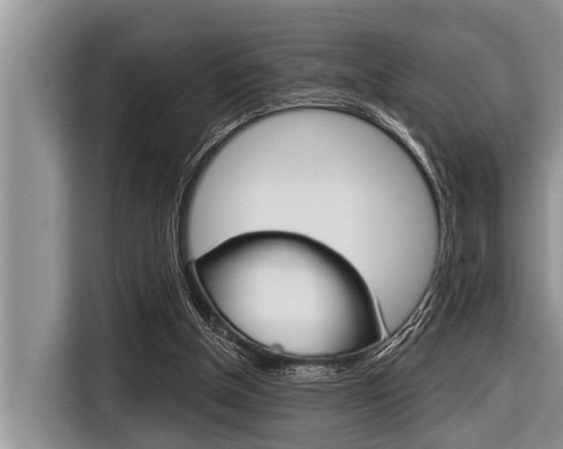 X0000116830154200912181101