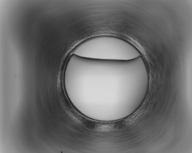 X0000116830155200912181101