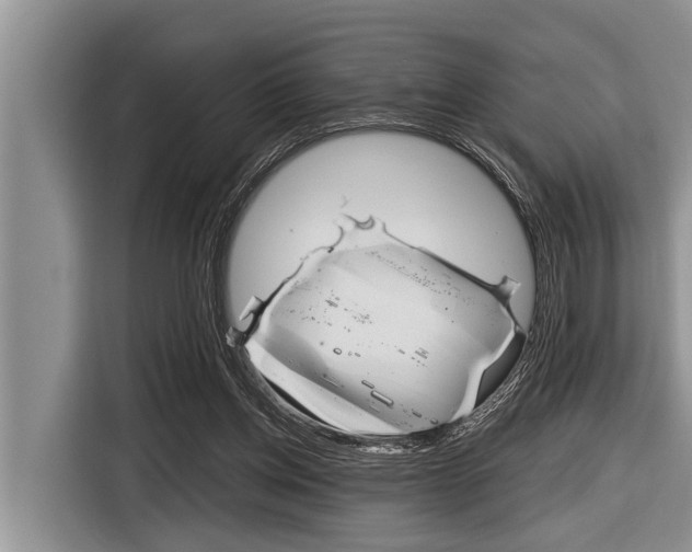 X0000116830158200912181101