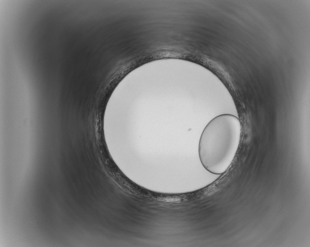 X0000116830162200912181101