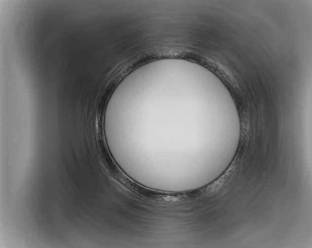 X0000116830166200912181101