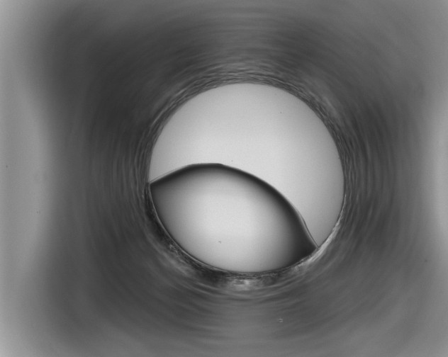 X0000116830174200912181101