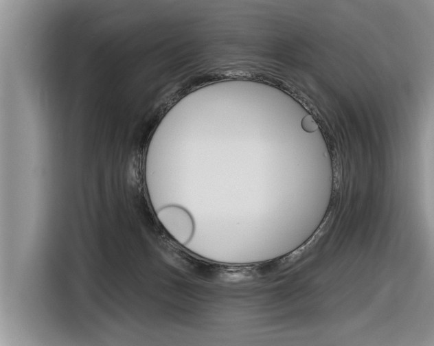 X0000116830175200912181101