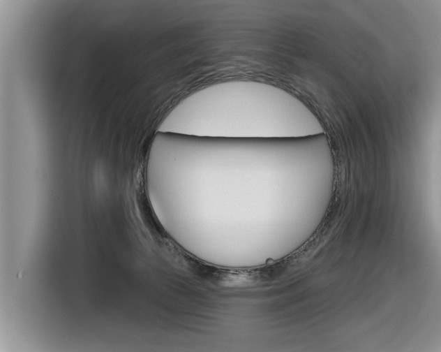 X0000116830177200912181101