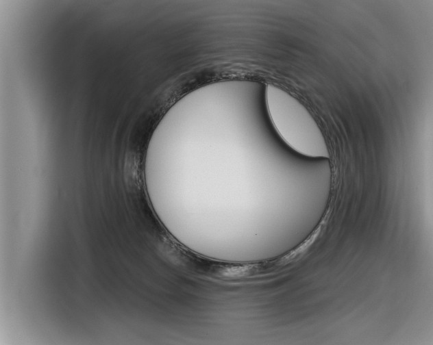 X0000116830178200912181101