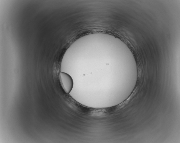 X0000116830179200912181101