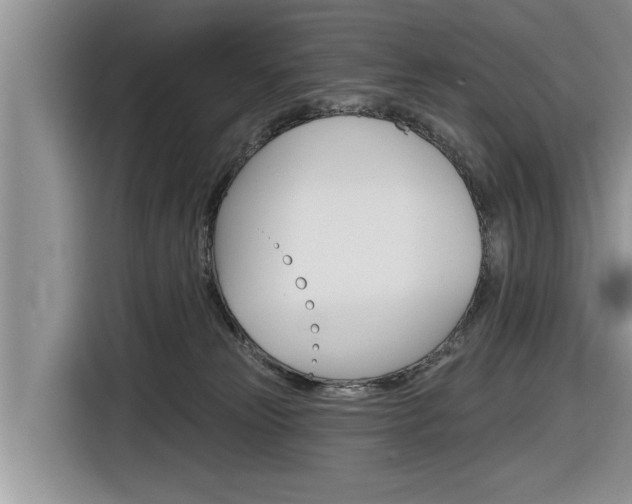 X0000116830181200912181101