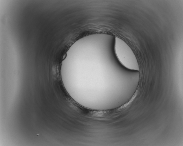 X0000116830182200912181101