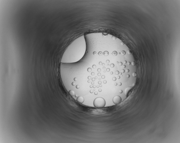 X0000116830183200912181101