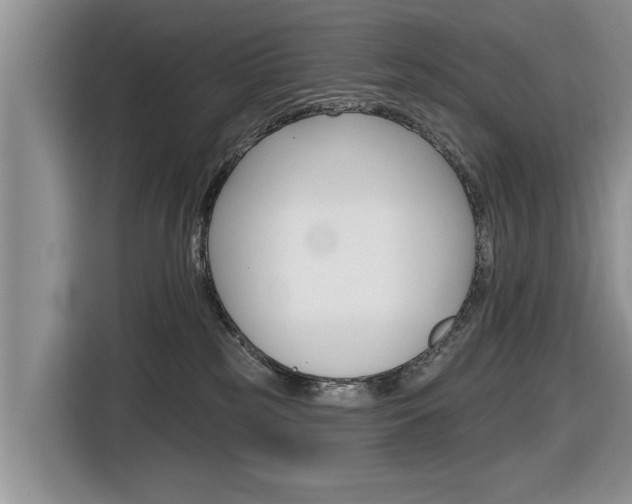 X0000116830185200912181101