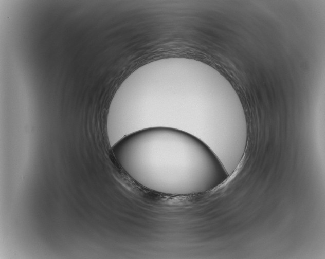 X0000116830186200912181101