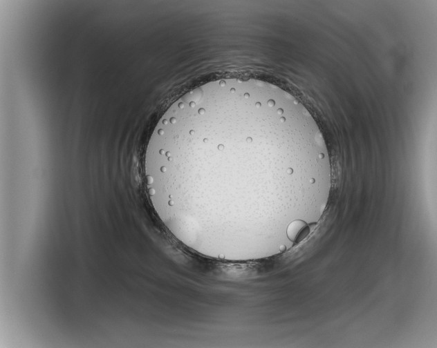 X0000116830187200912181101