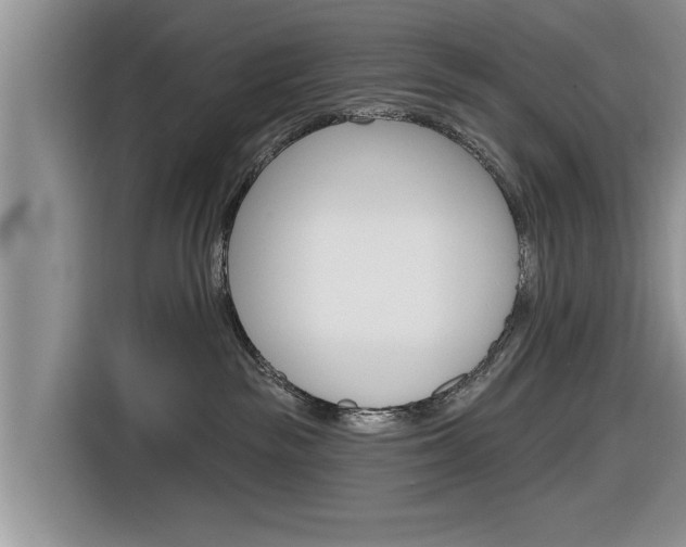 X0000116830189200912181101