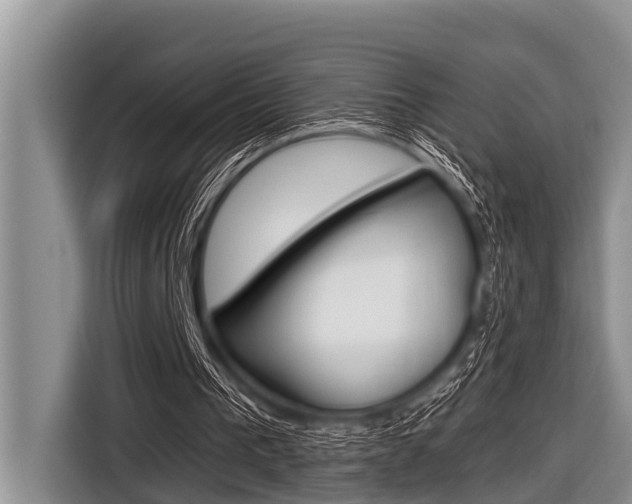 X0000116830193200912181101