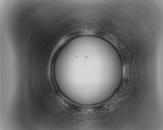 X0000116830195200912181101