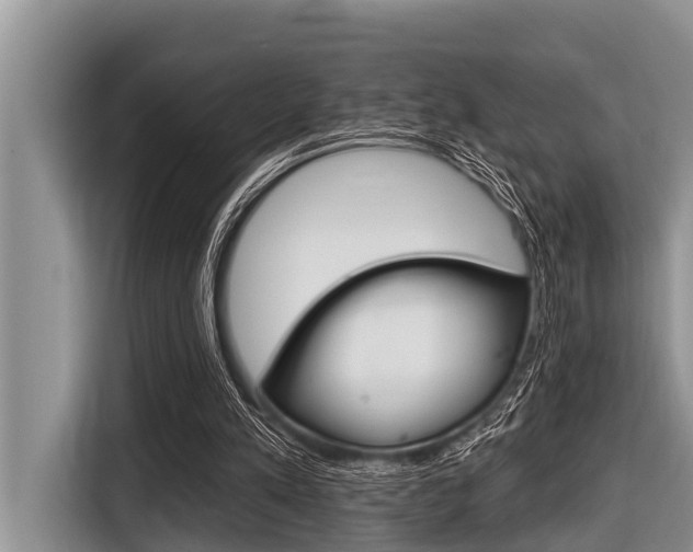 X0000116830197200912181101