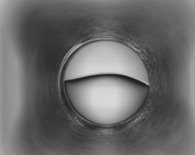 X0000116830200200912181101