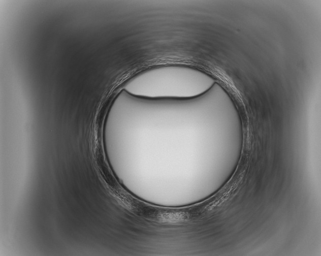 X0000116830202200912181101