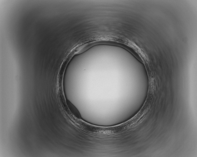 X0000116830203200912181101