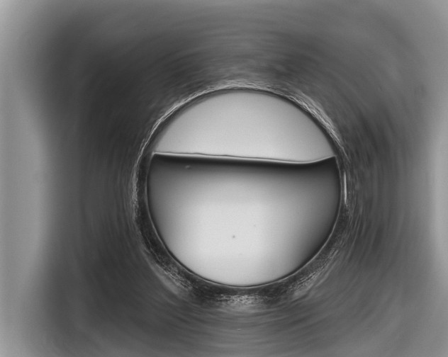 X0000116830204200912181101