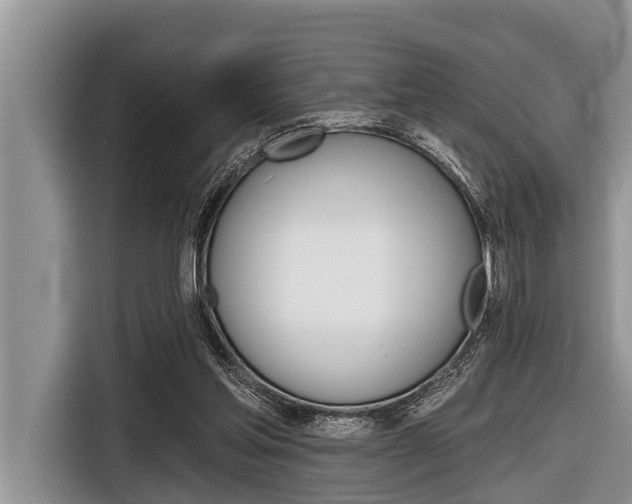 X0000116830205200912181101