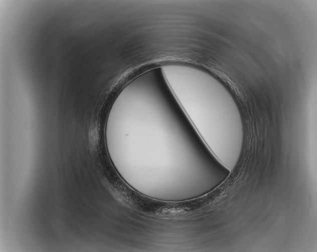 X0000116830208200912181101