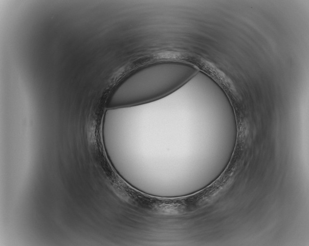 X0000116830209200912181101