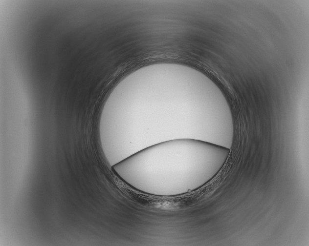 X0000116830212200912181101
