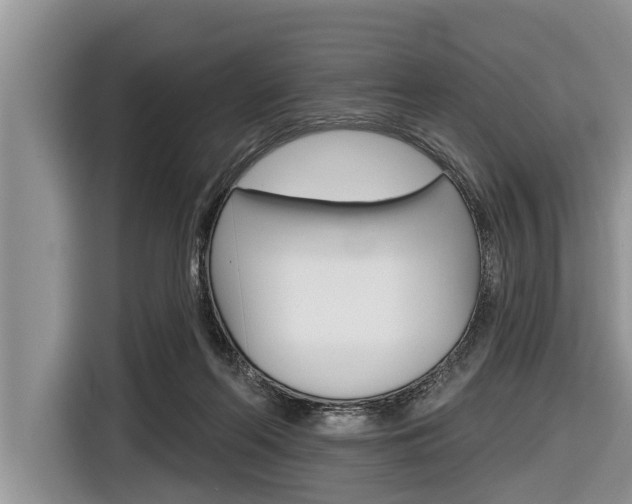 X0000116830214200912181101